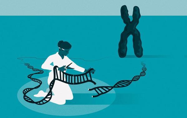 تکنیک کریسپر (CRISPR) چیست و چه فایده برای درمان بیماری ها دارد؟