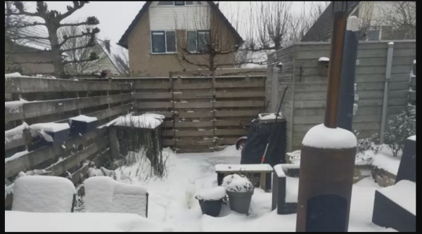 معمای IQ: آیا می توانید گربه پنهان را در عرض 10 ثانیه پیدا کنید؟ معمای IQ: آیا می توانید گربه پنهان را در عرض 10 ثانیه پیدا کنید؟