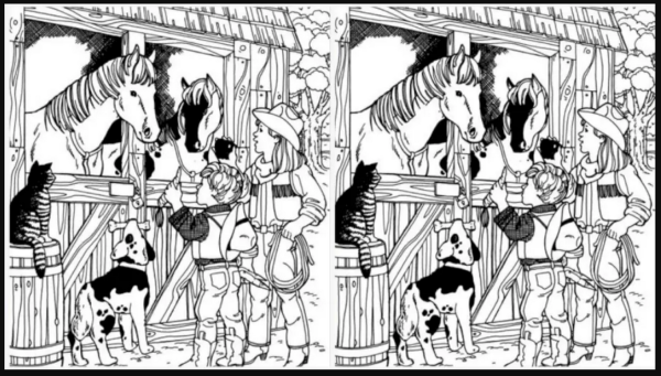 معمای توهم نوری جالب: آیا می توانید خوک را در 25 ثانیه پیدا معمای توهم نوری جالب: آیا می توانید خوک را در 25 ثانیه پیدا کنید؟