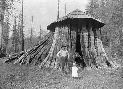 زندگی در کُندۀ درخت در اوایل قرن بیستم!